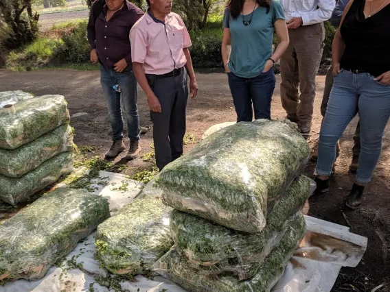 Researcher speaking with a farmer outside Mexico City