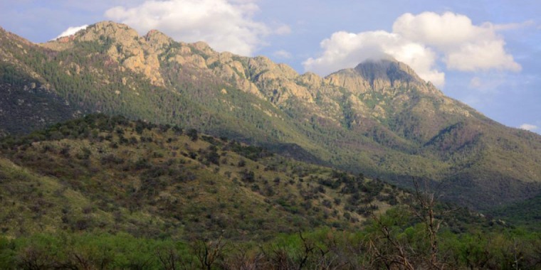 Santa Rita mountains