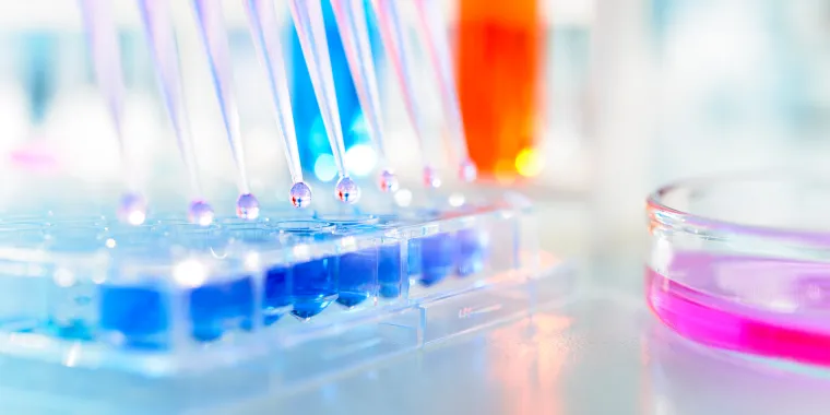 Laboratory image of a multichannel pipette injecting liquid into a microtiter plate.